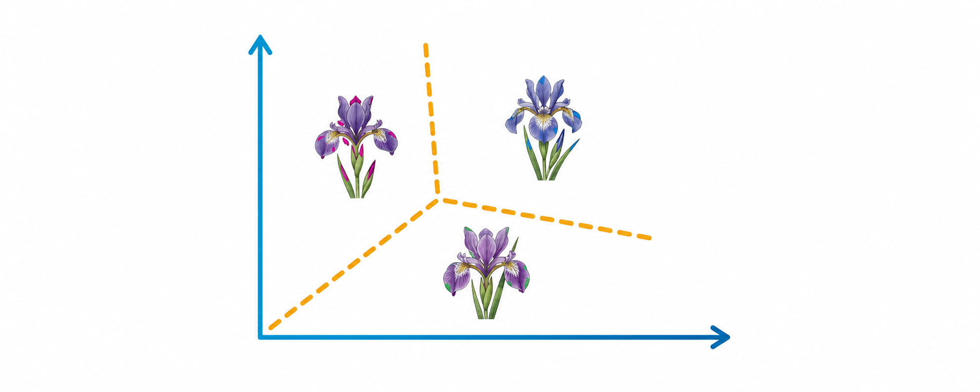 Decision regions separating three Iris flower classes