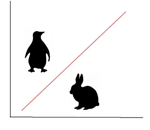 Image classification diagram